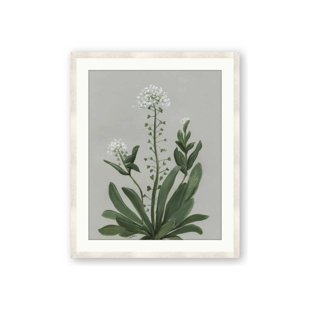 White flower II