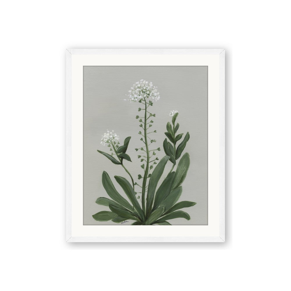 White flower II