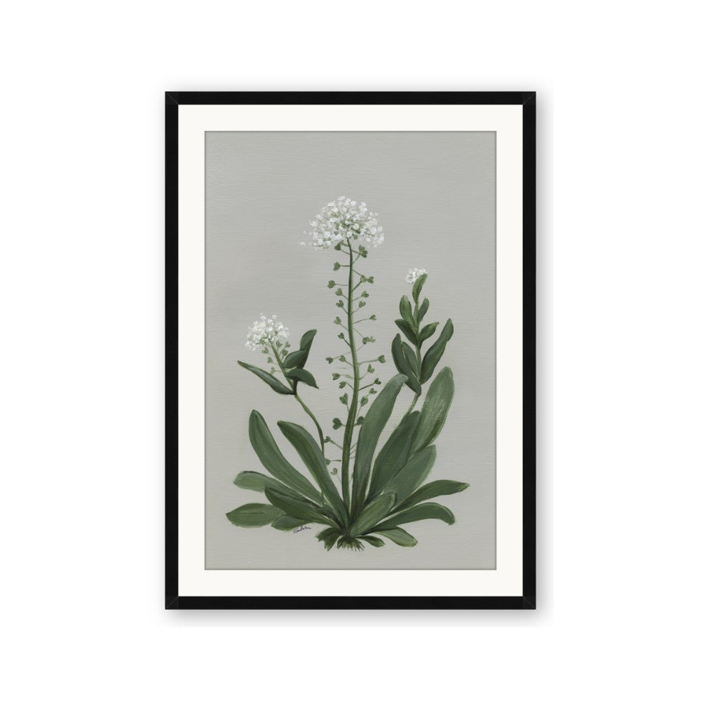 White flower II