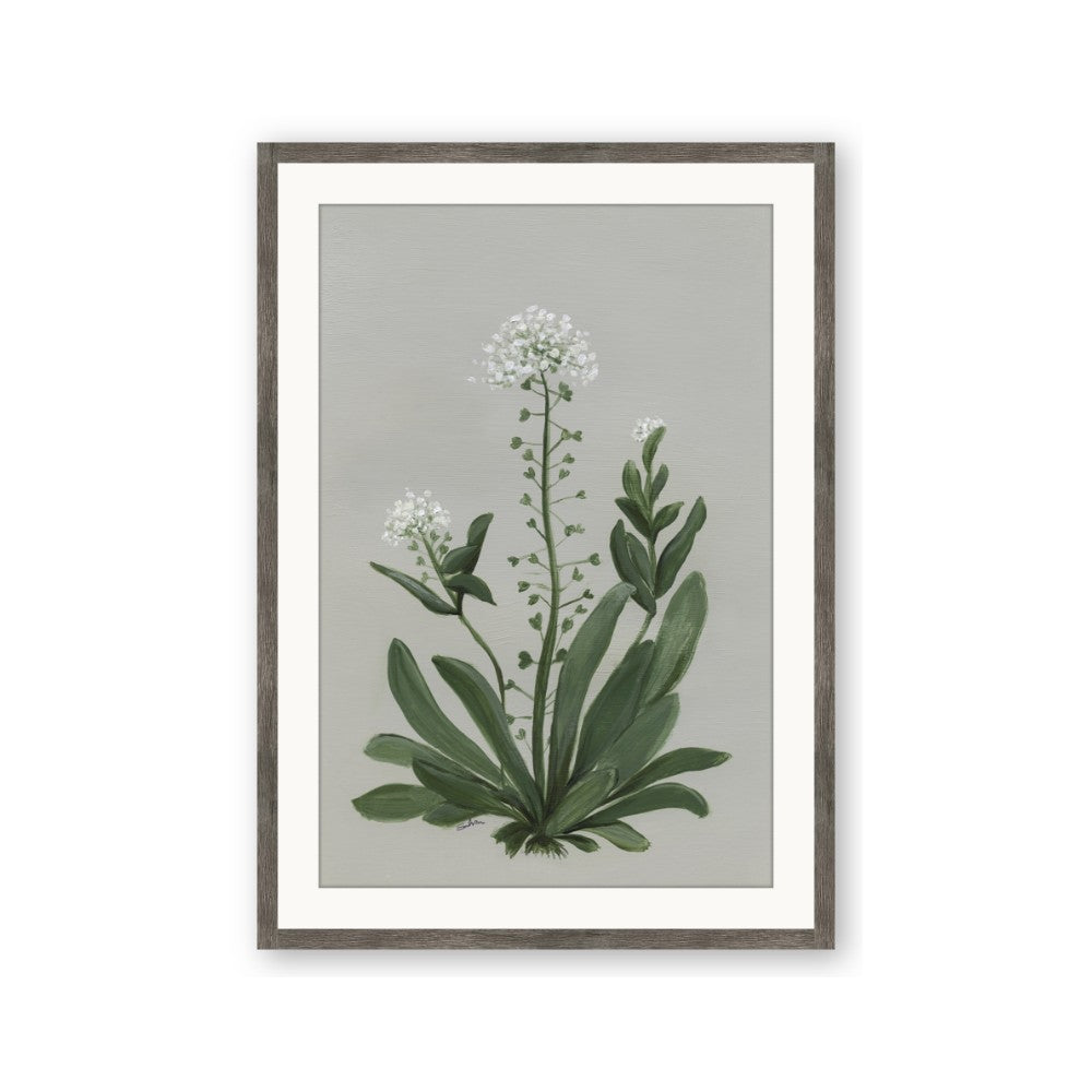 White flower II