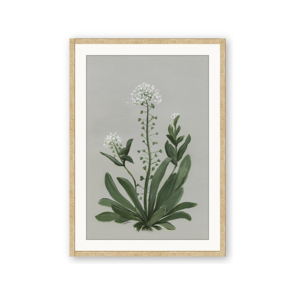 White flower II