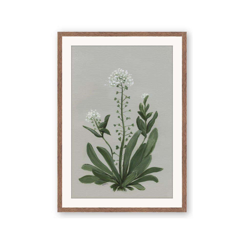 White flower II