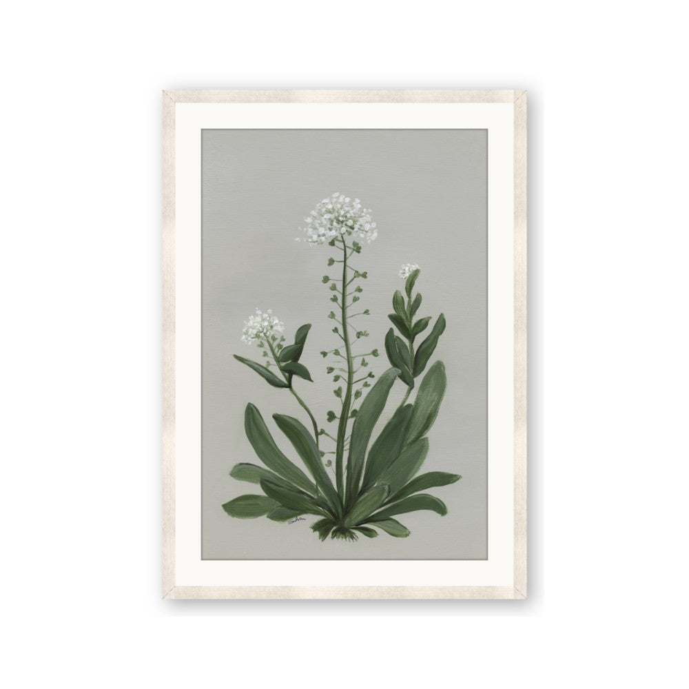 White flower II