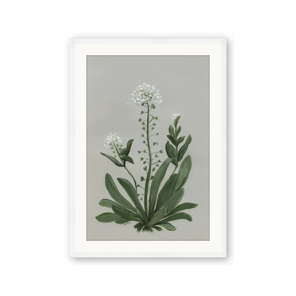 White flower II