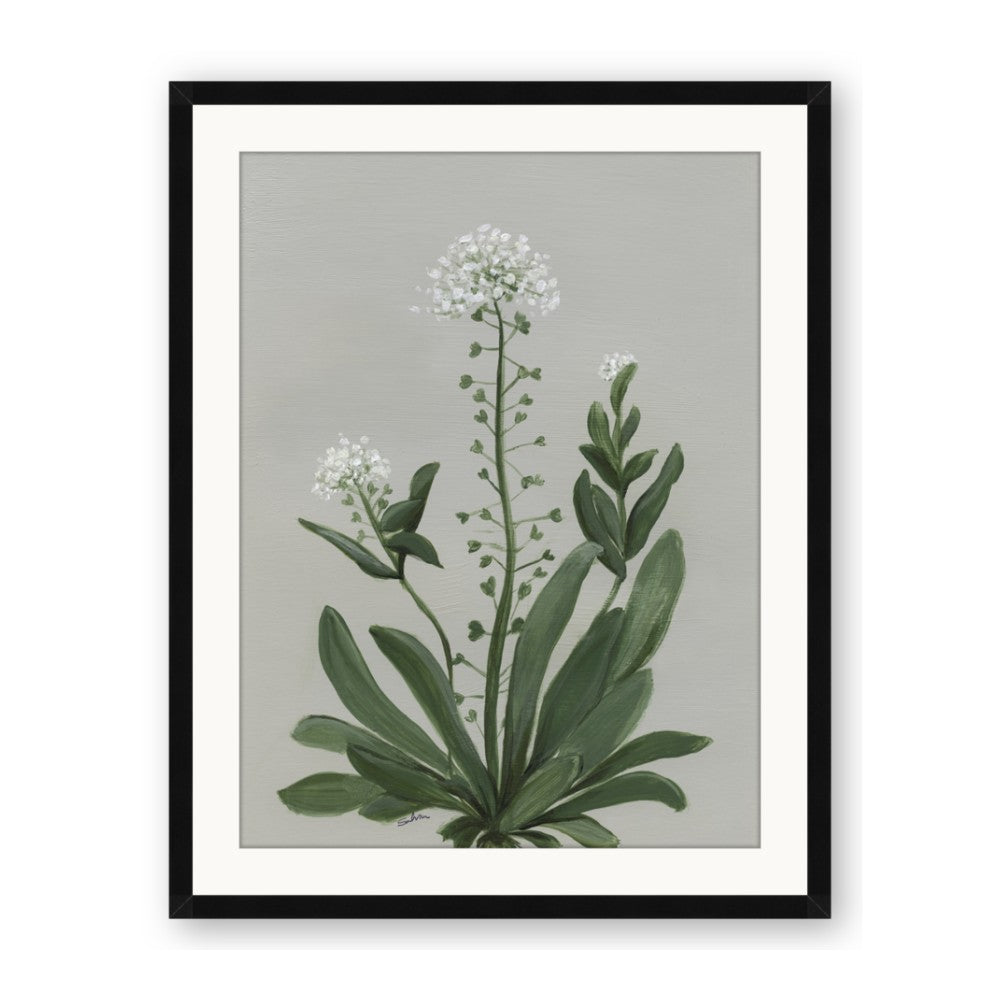 White flower II