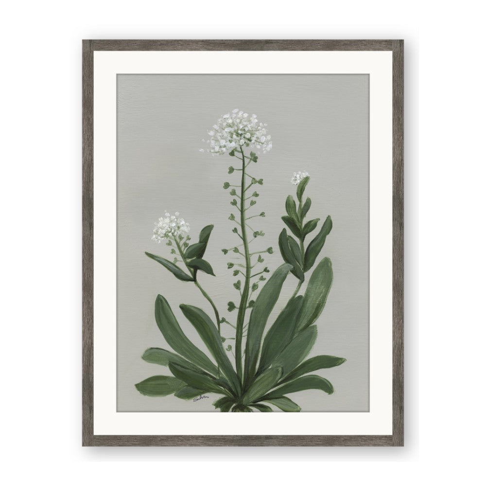 White flower II