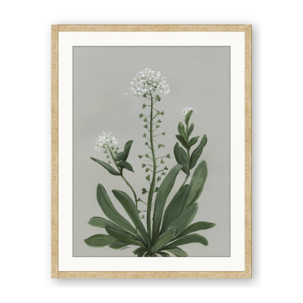 White flower II