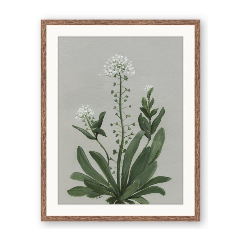 White flower II