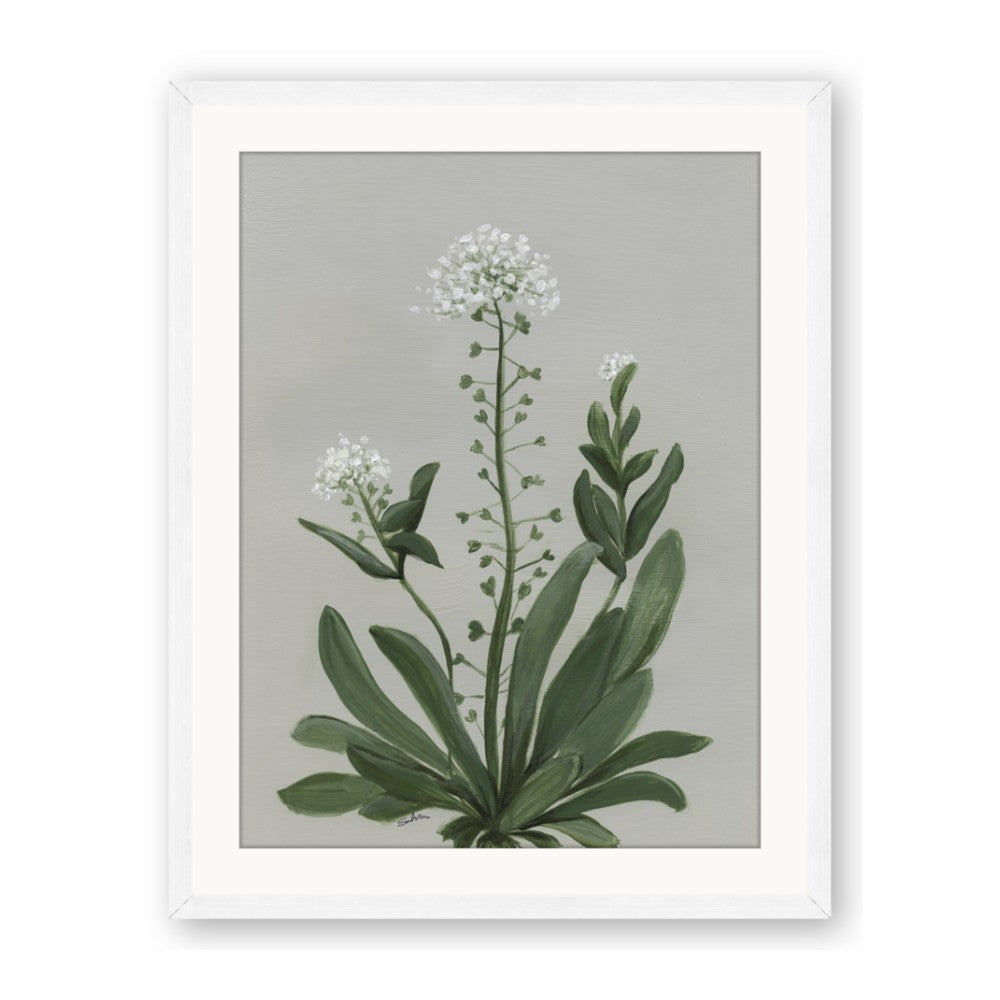 White flower II