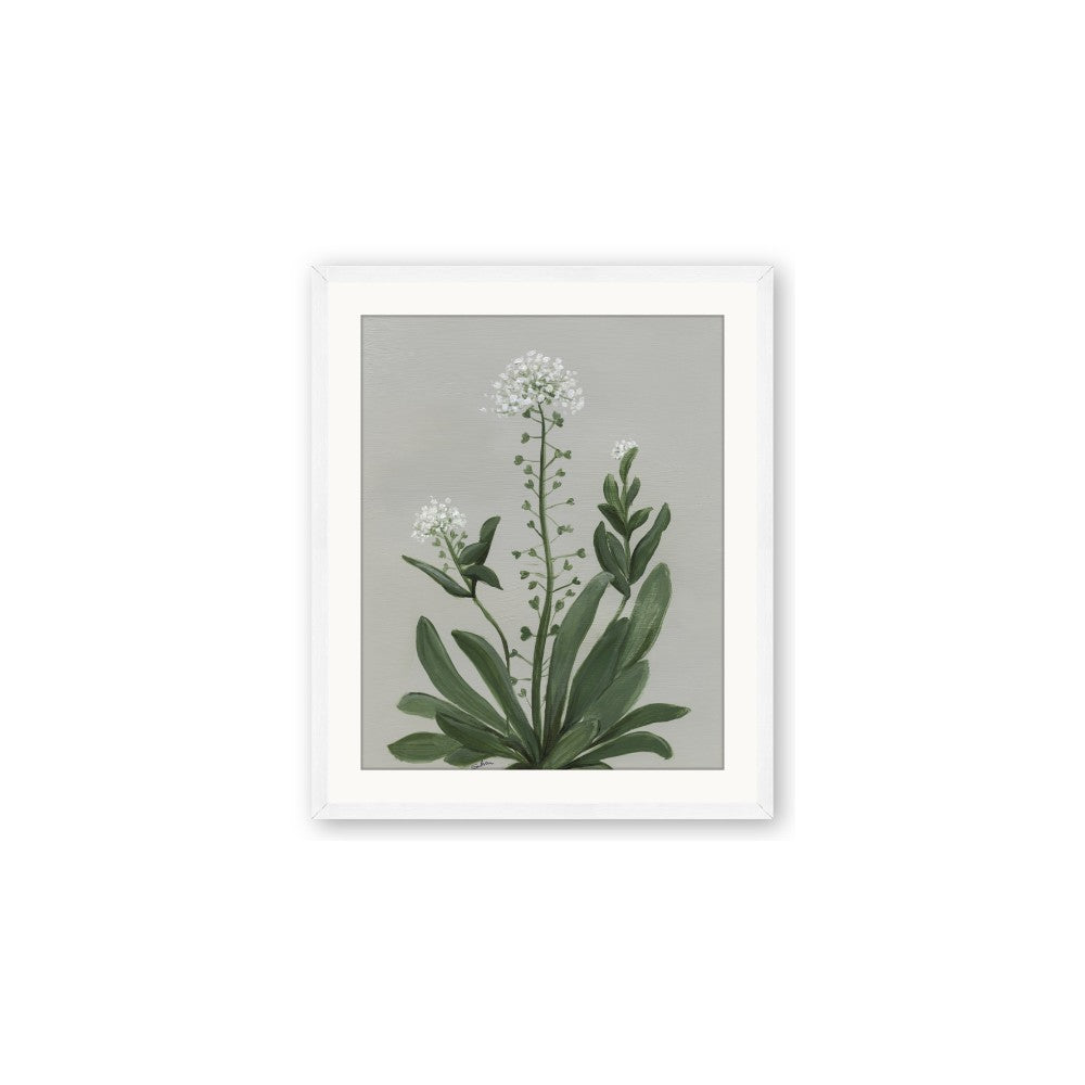 White flower II