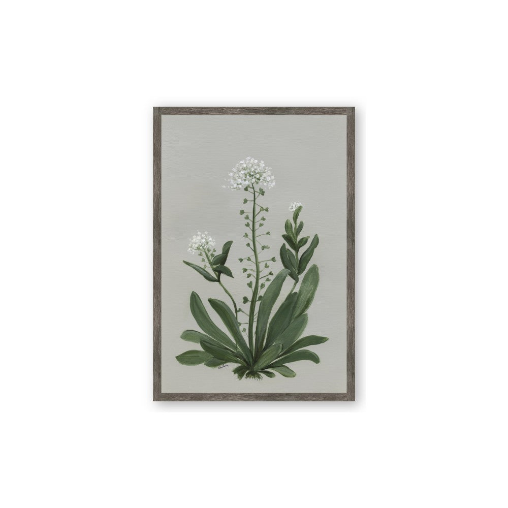 White flower II