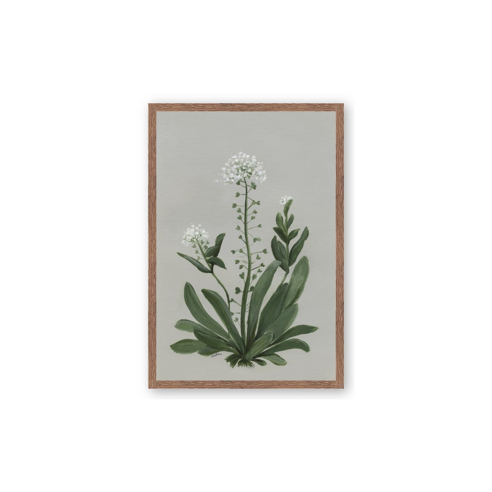 White flower II