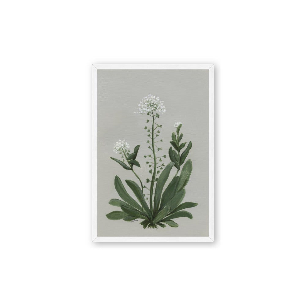 White flower II