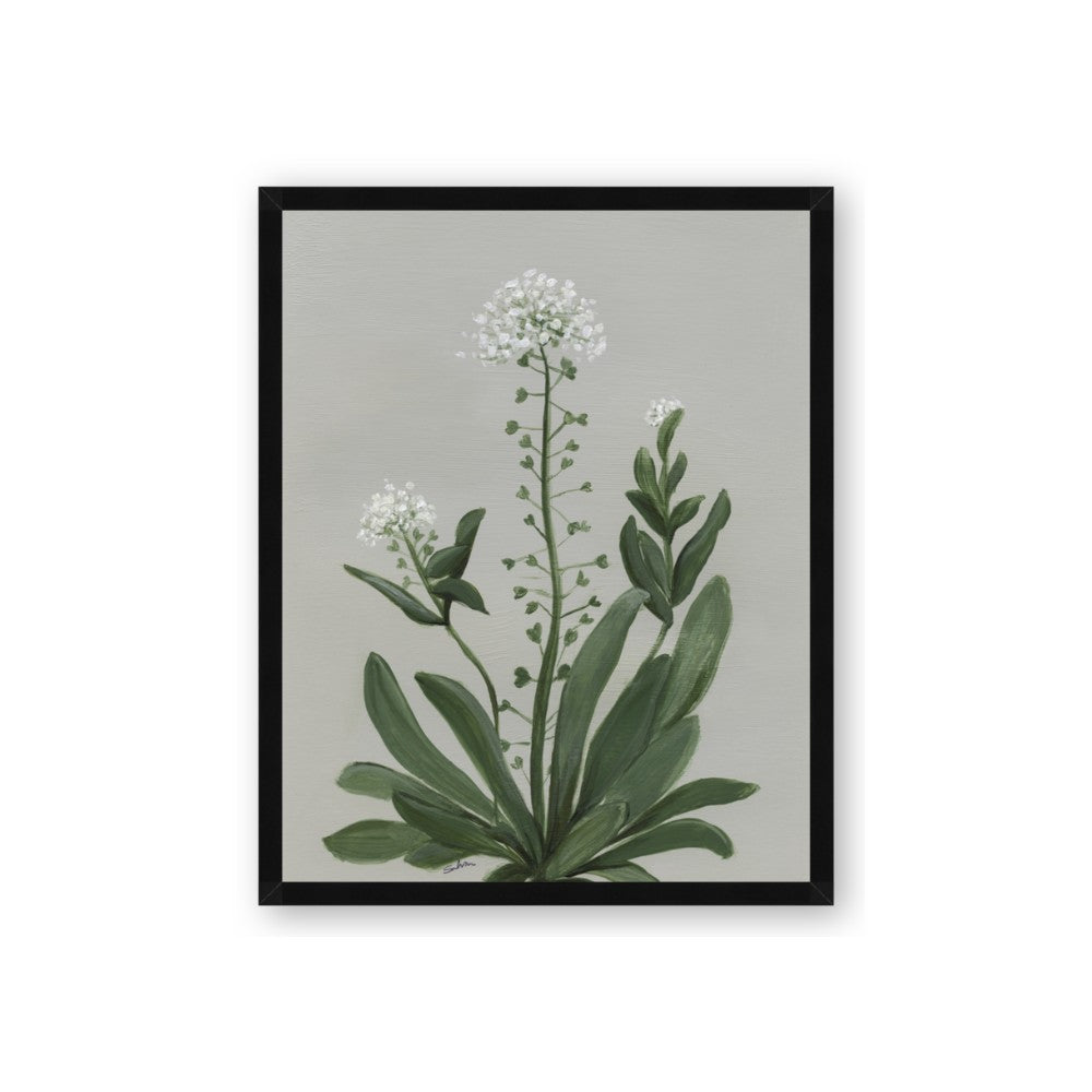 White flower II