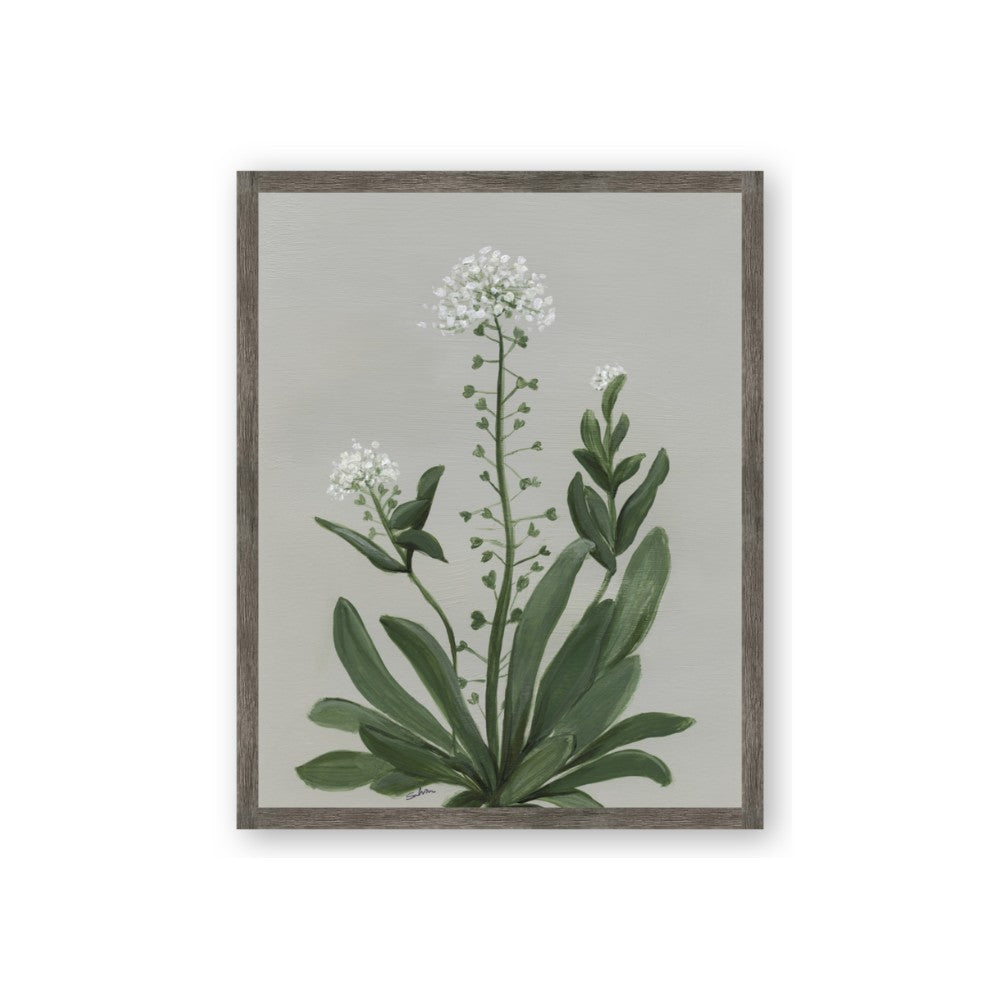 White flower II