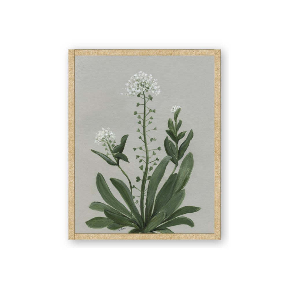 White flower II