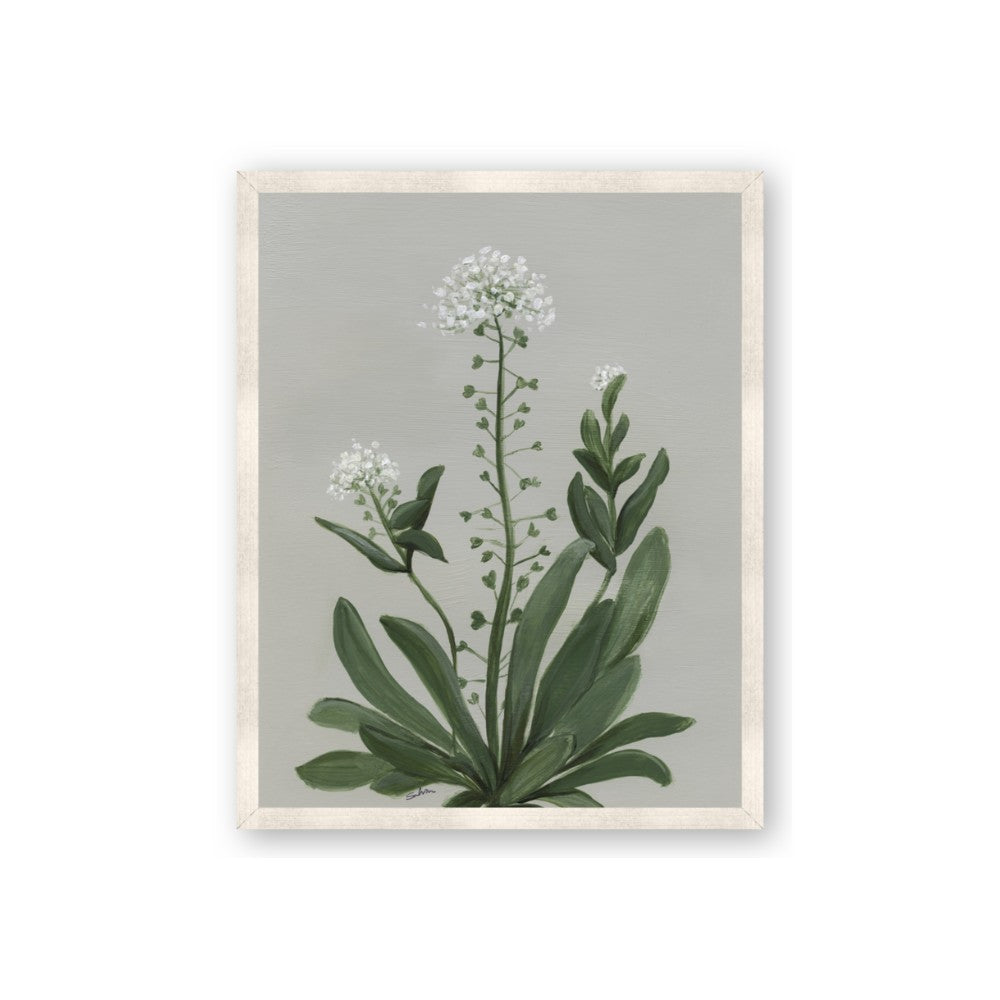 White flower II