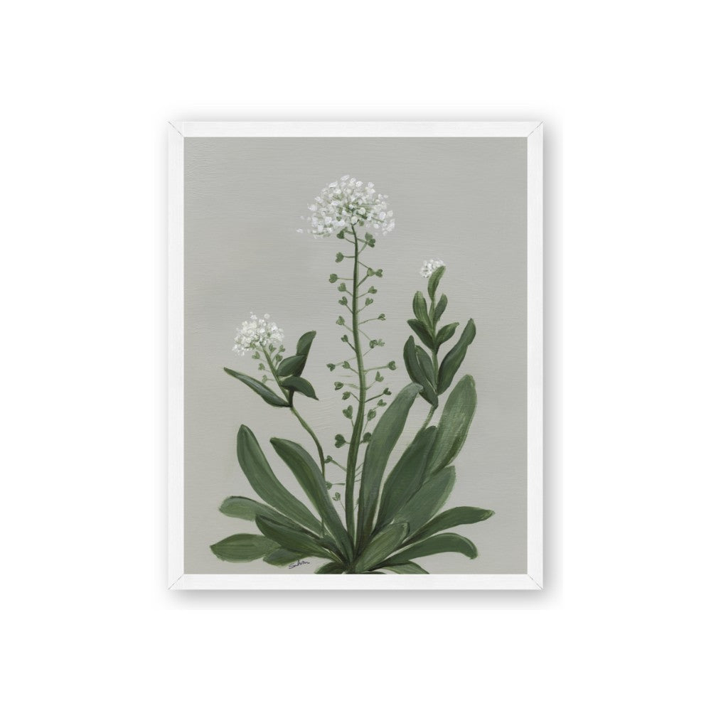 White flower II