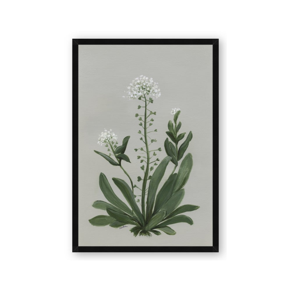 White flower II