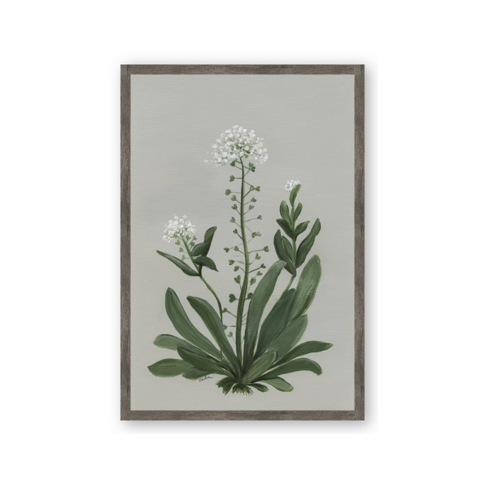 White flower II