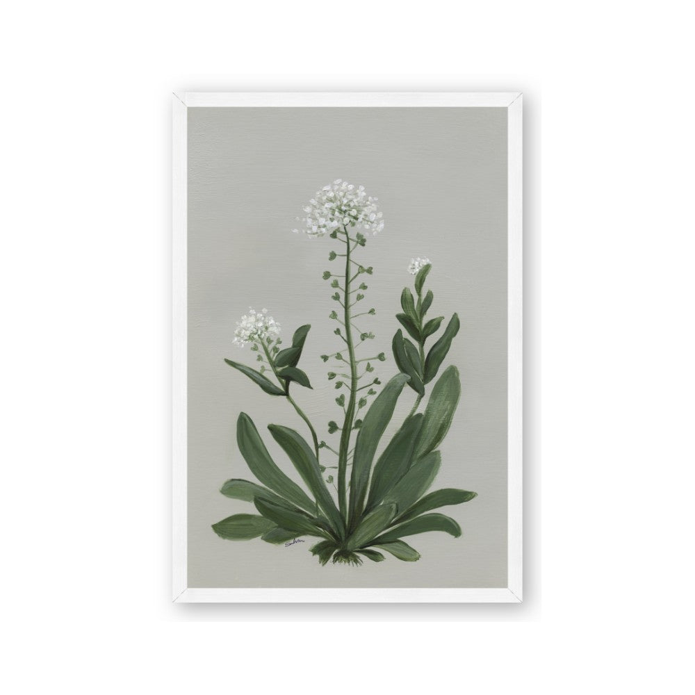 White flower II