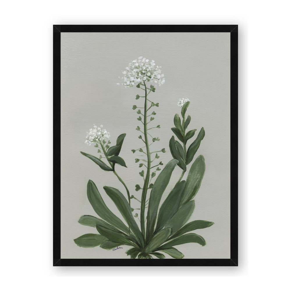 White flower II