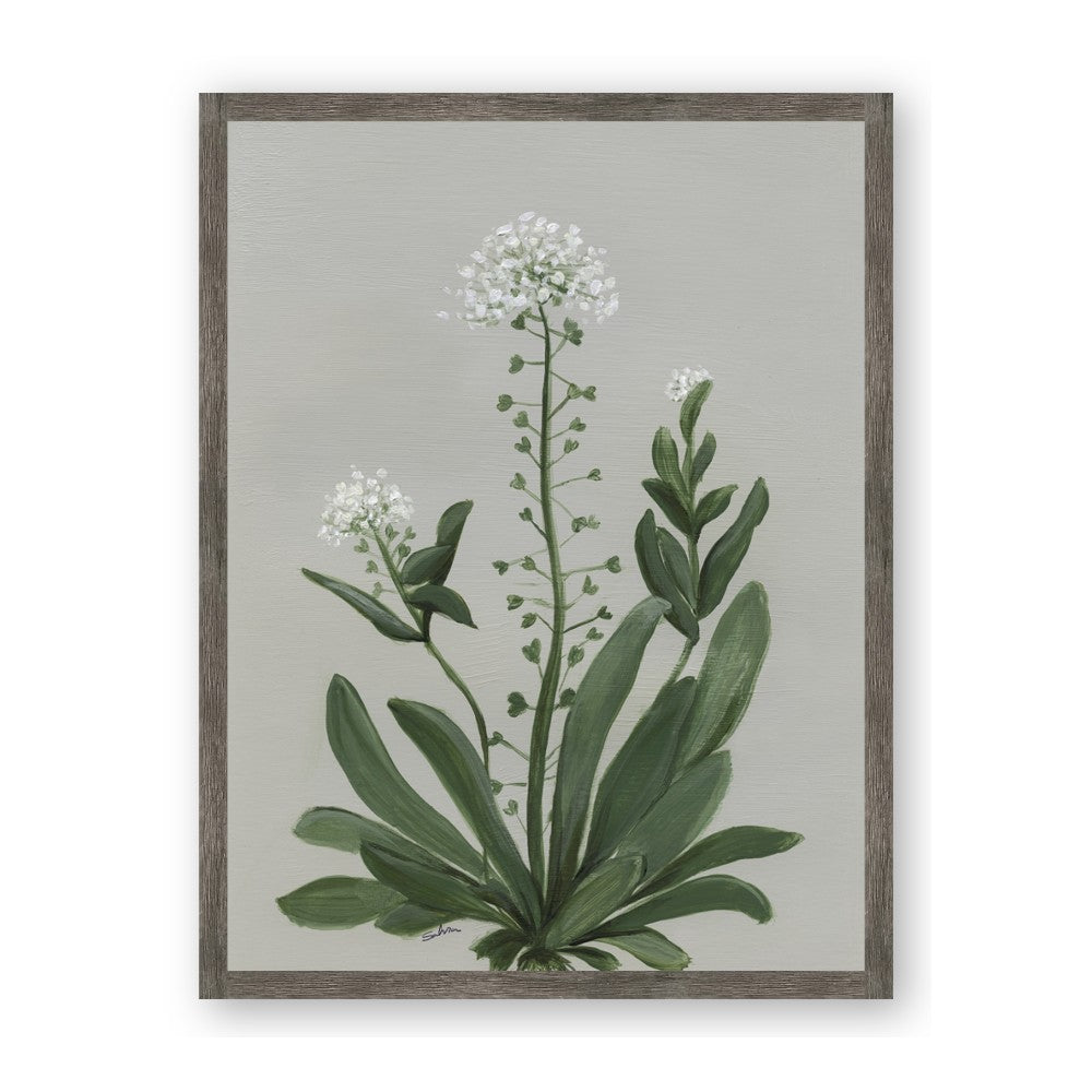 White flower II
