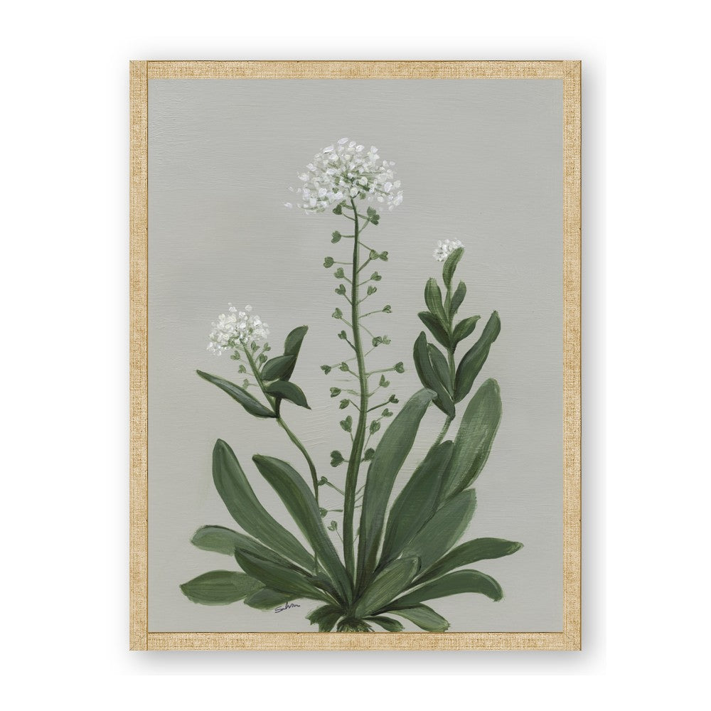 White flower II