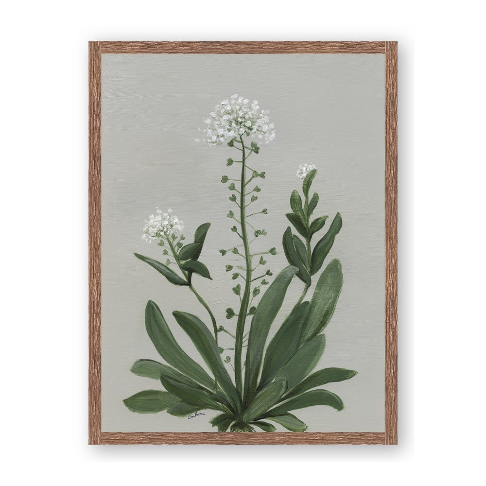 White flower II