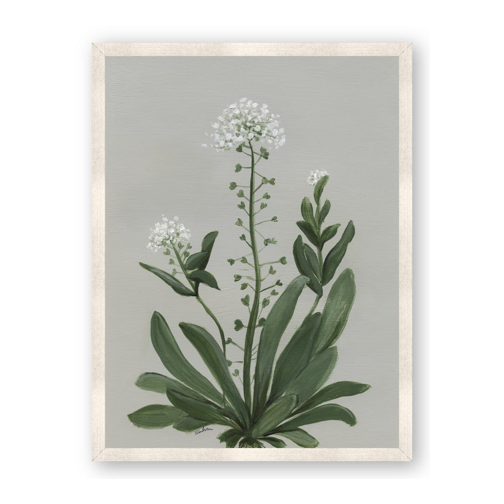 White flower II