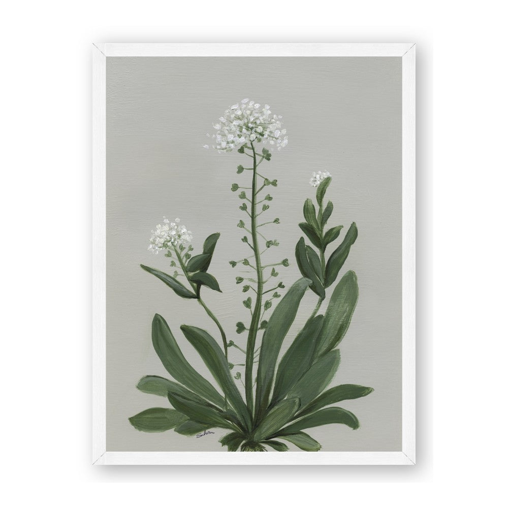 White flower II