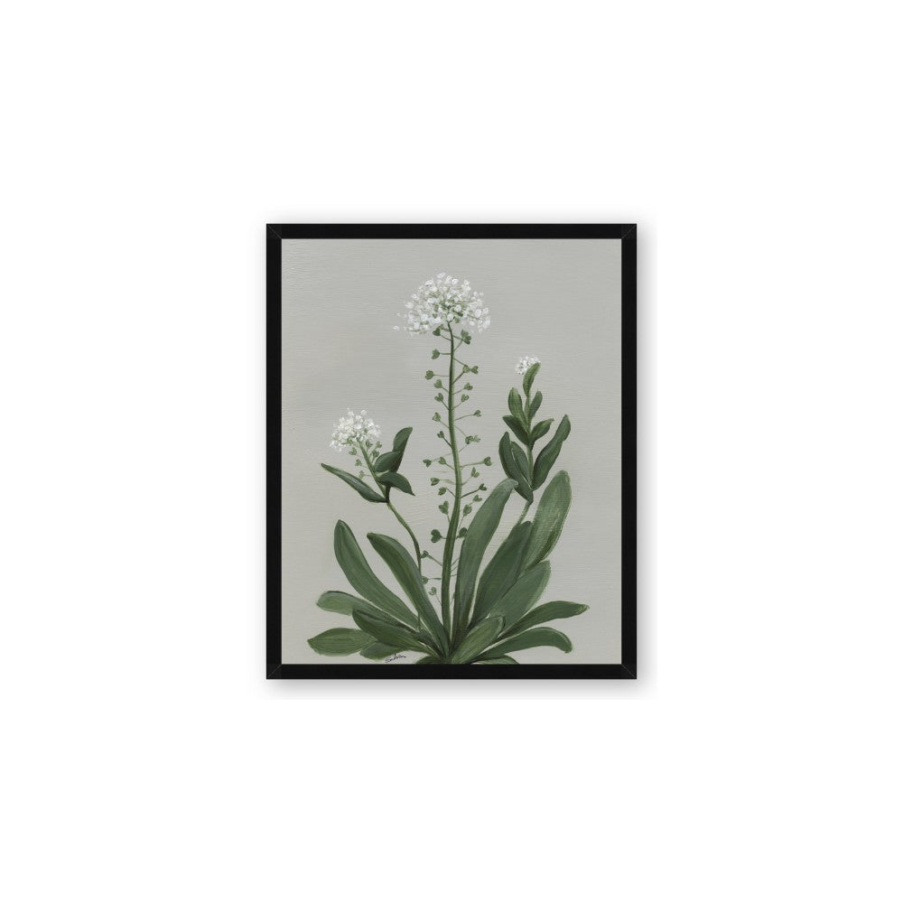 White flower II