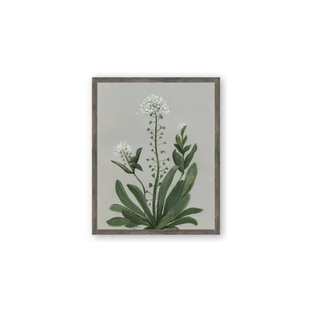White flower II