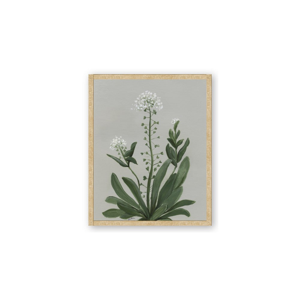 White flower II