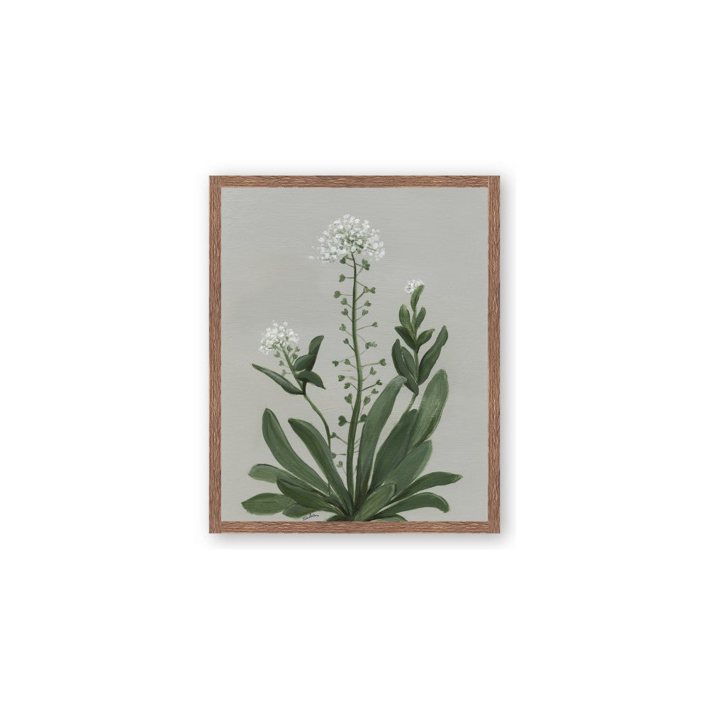 White flower II