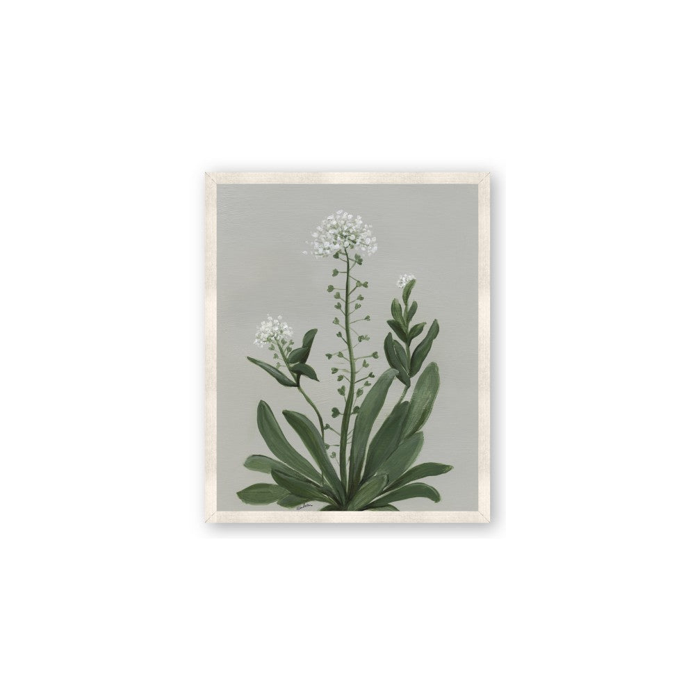White flower II