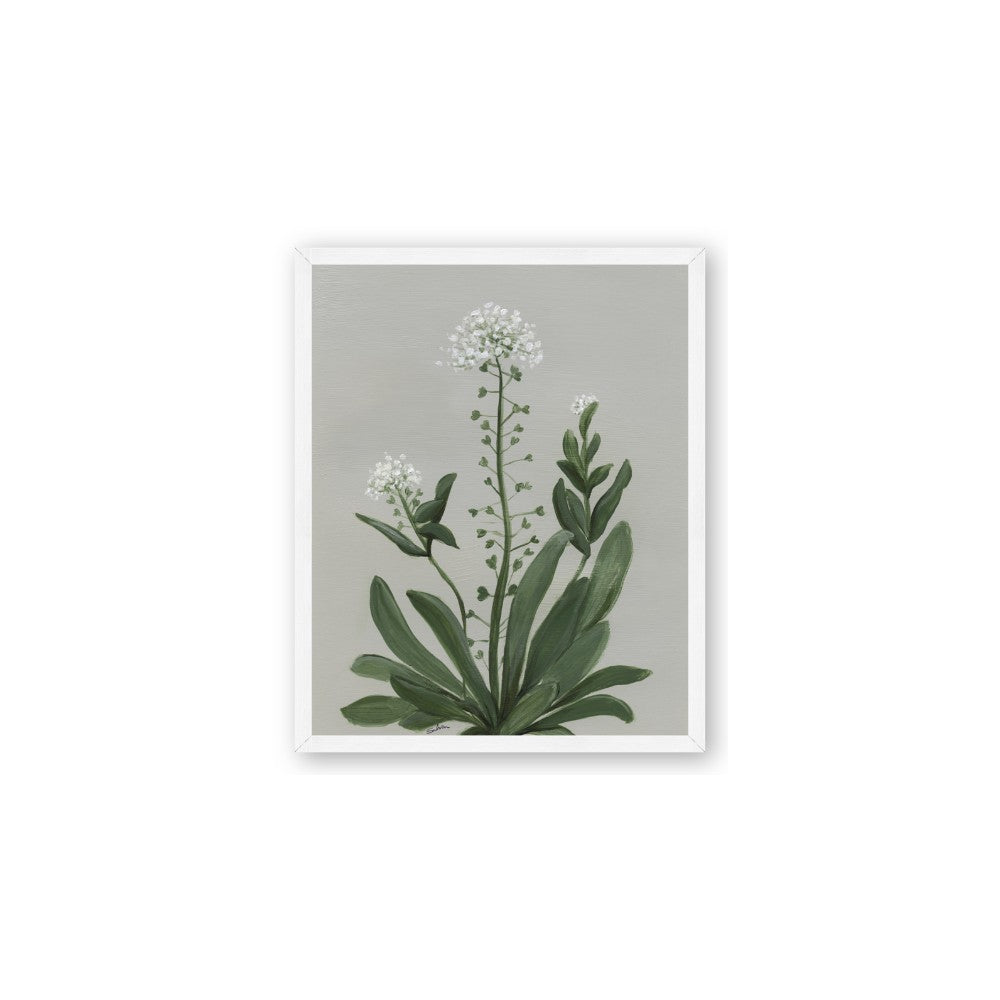White flower II