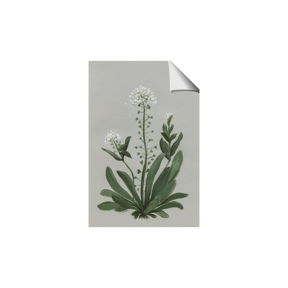 White flower II