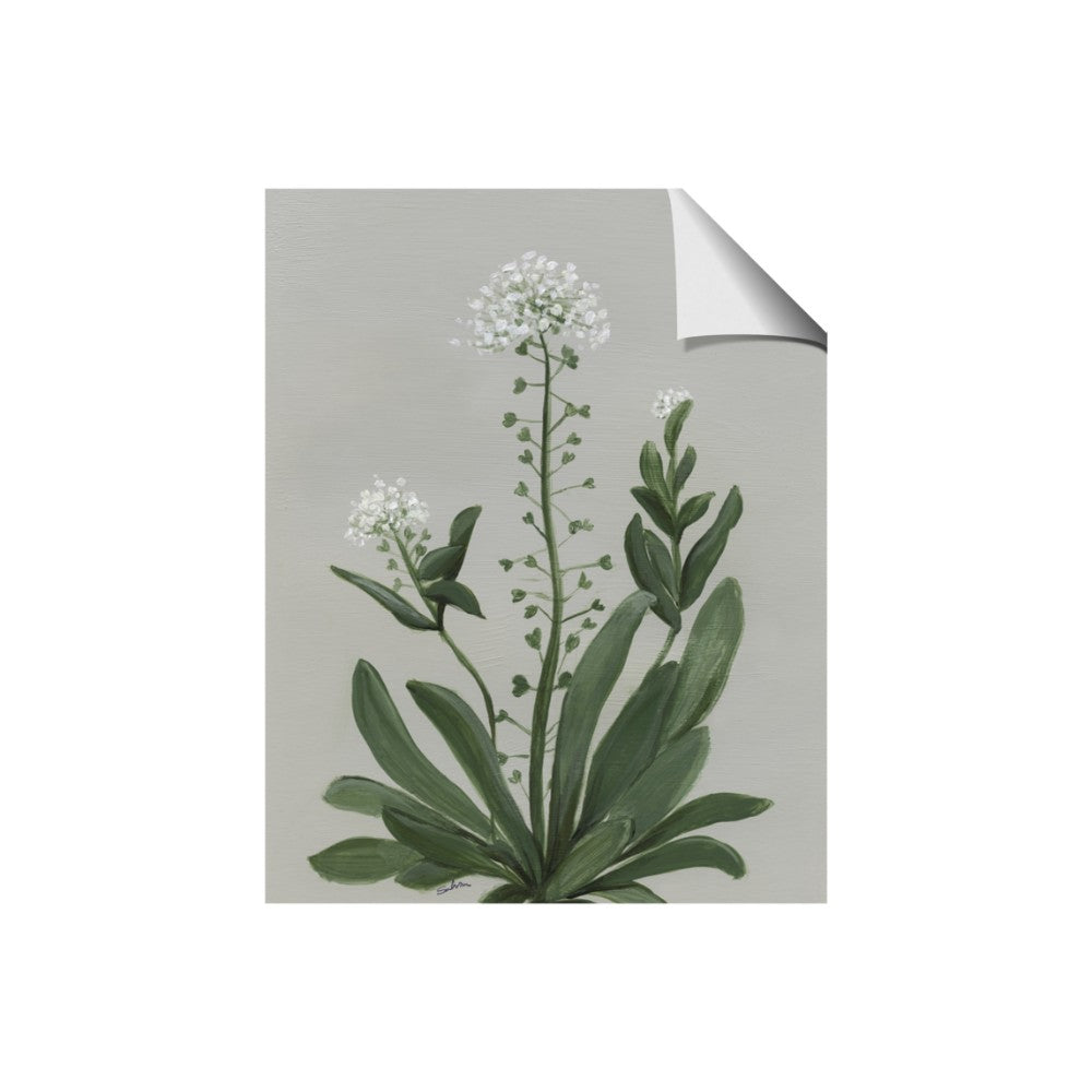 White flower II