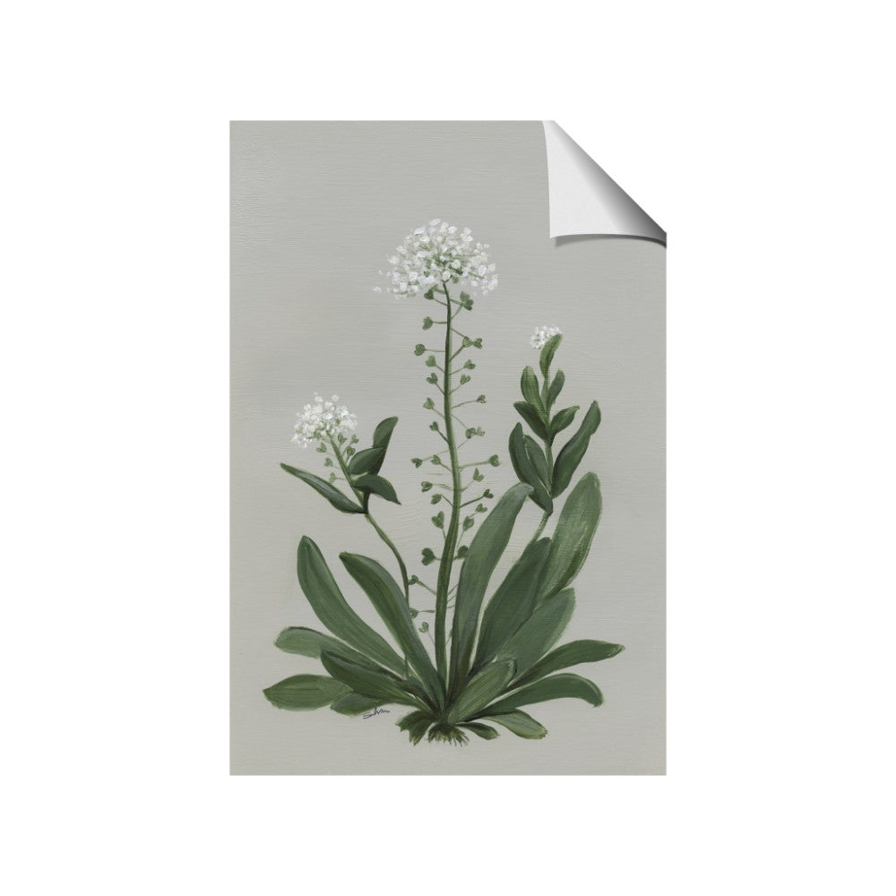 White flower II