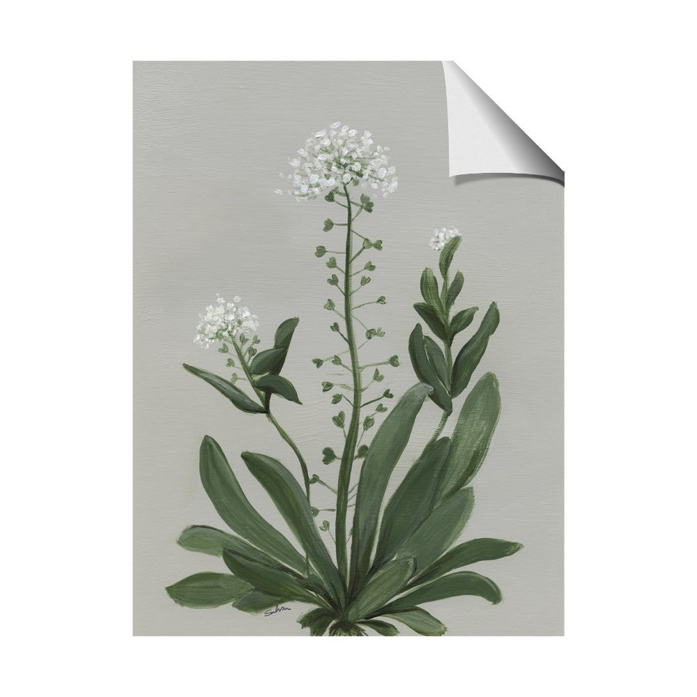 White flower II