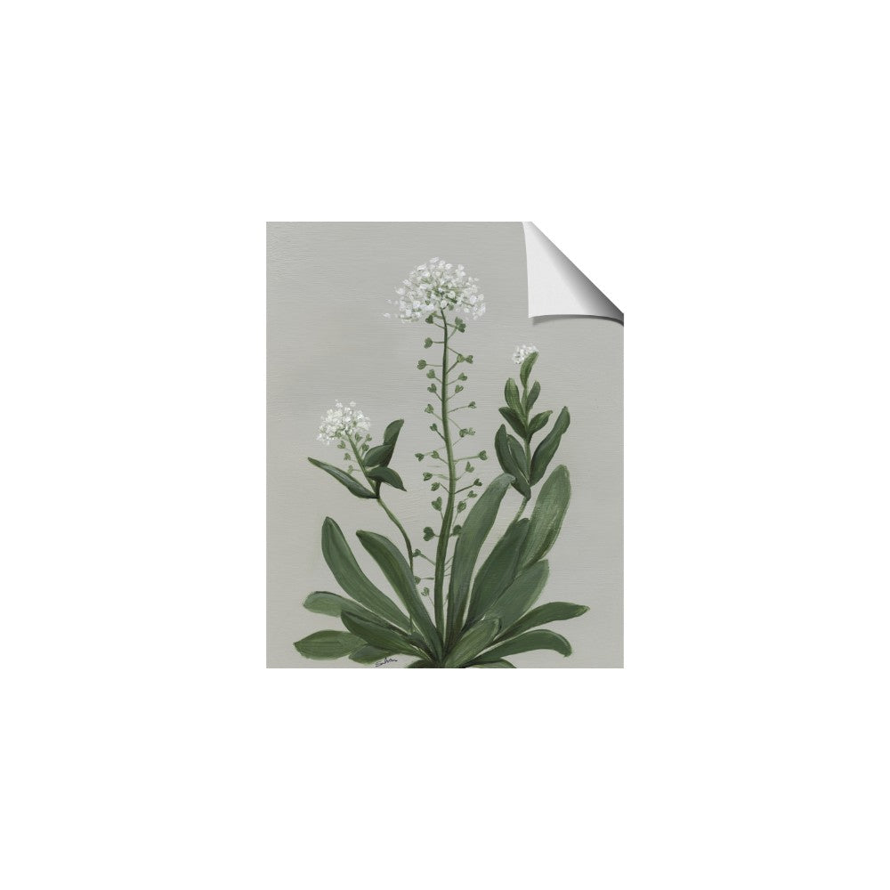 White flower II