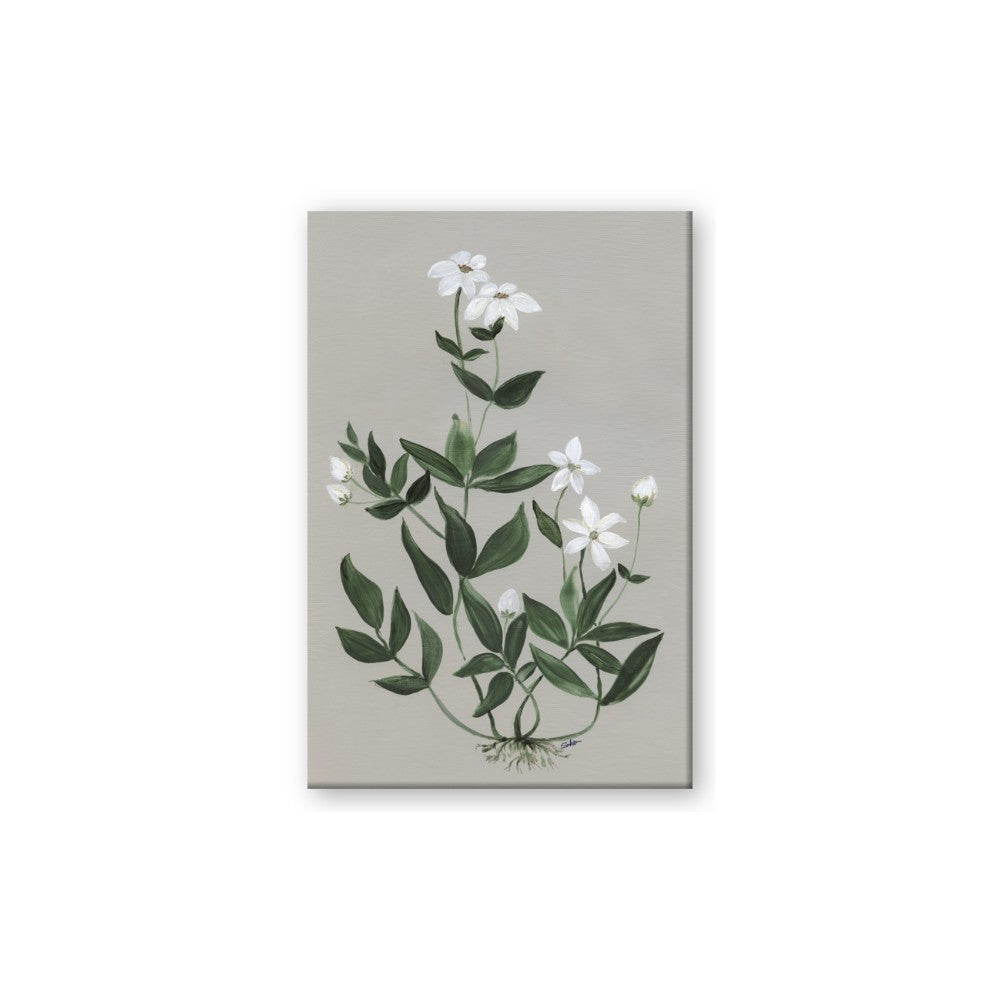 White flower III