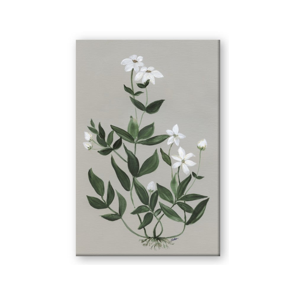 White flower III