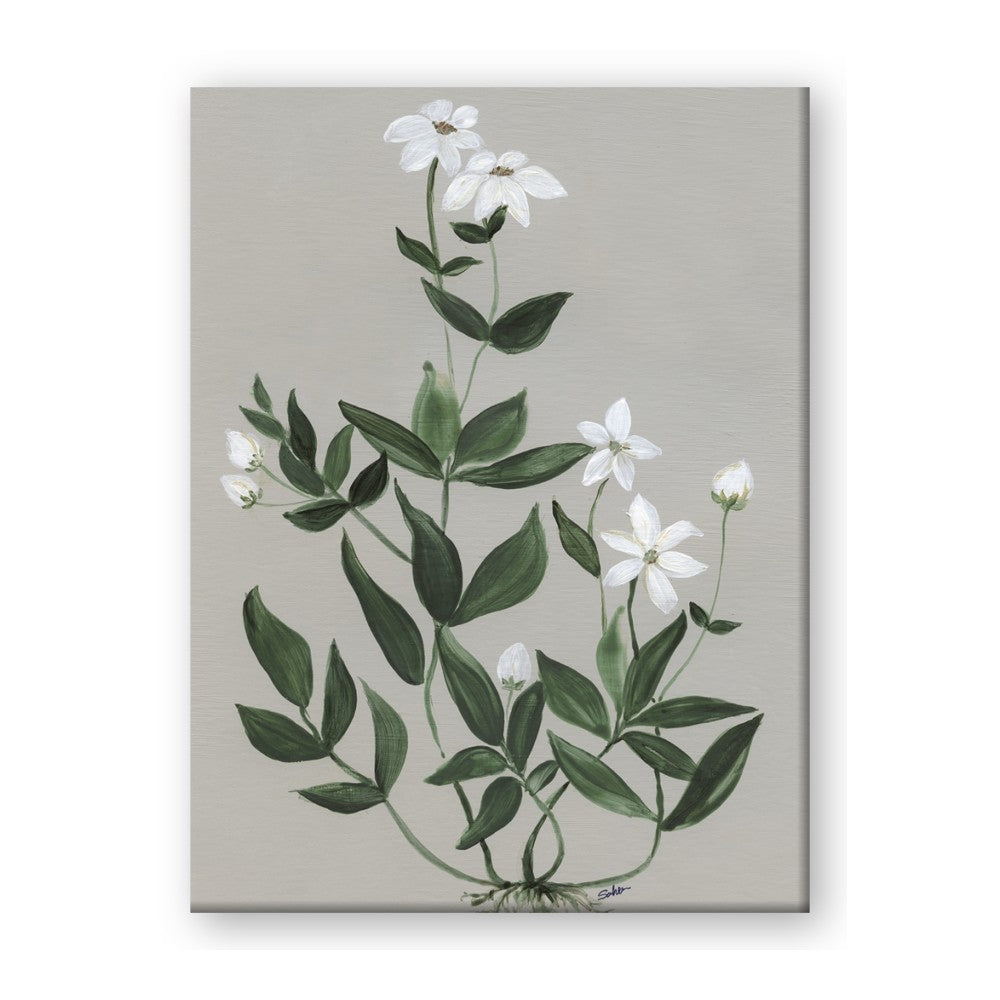 White flower III