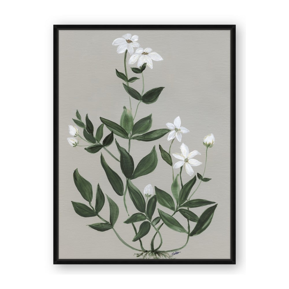 White flower III