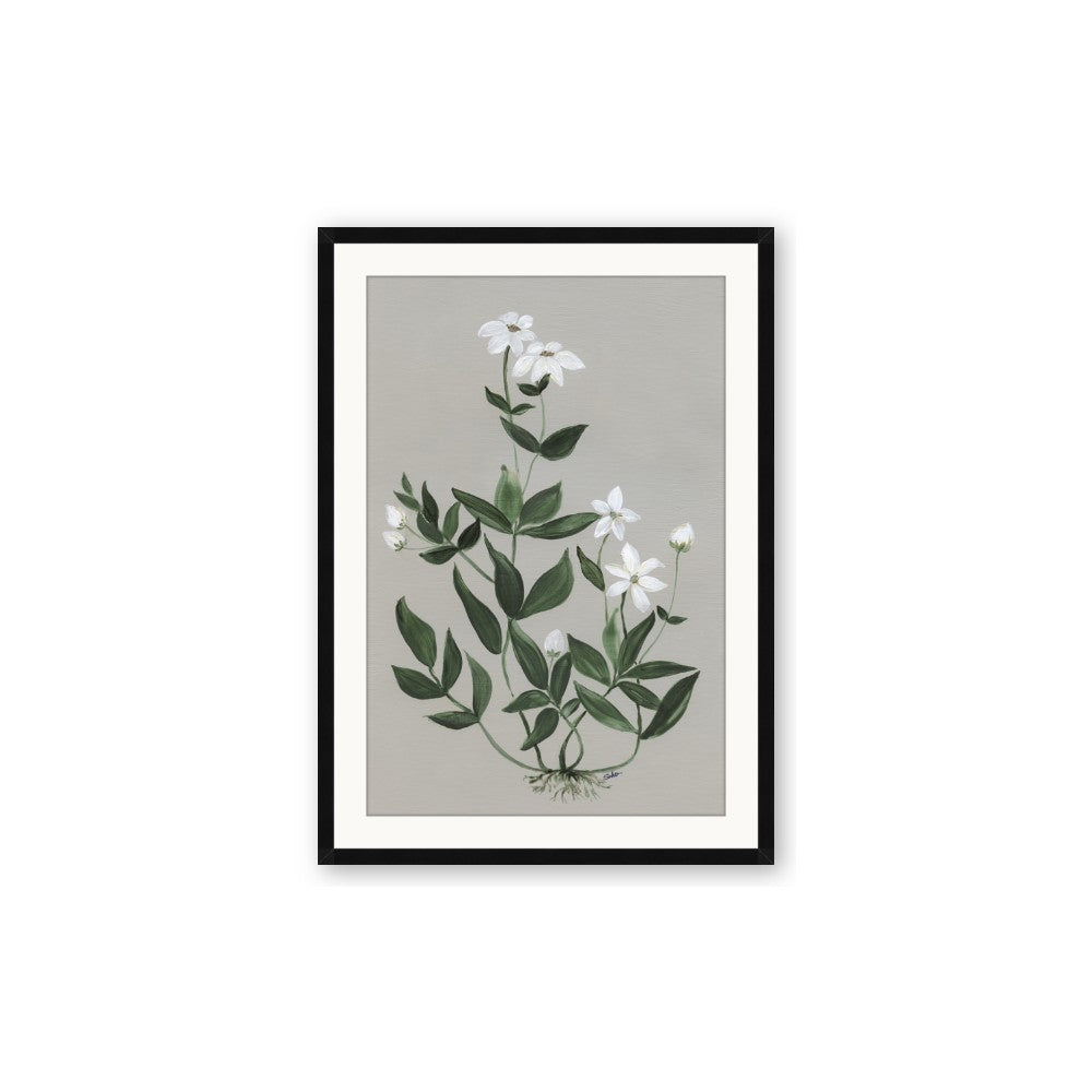 White flower III