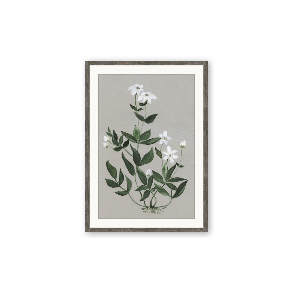 White flower III