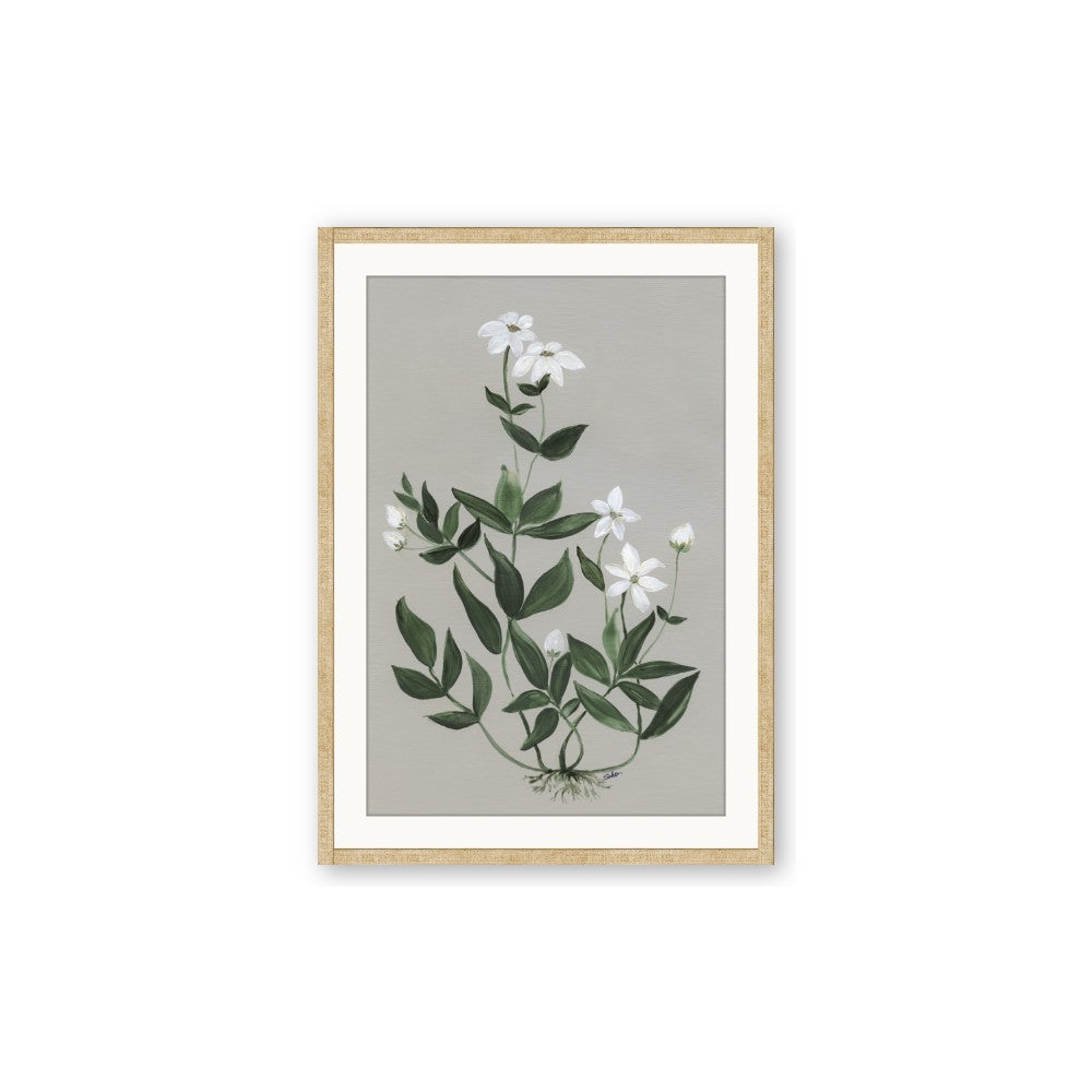 White flower III