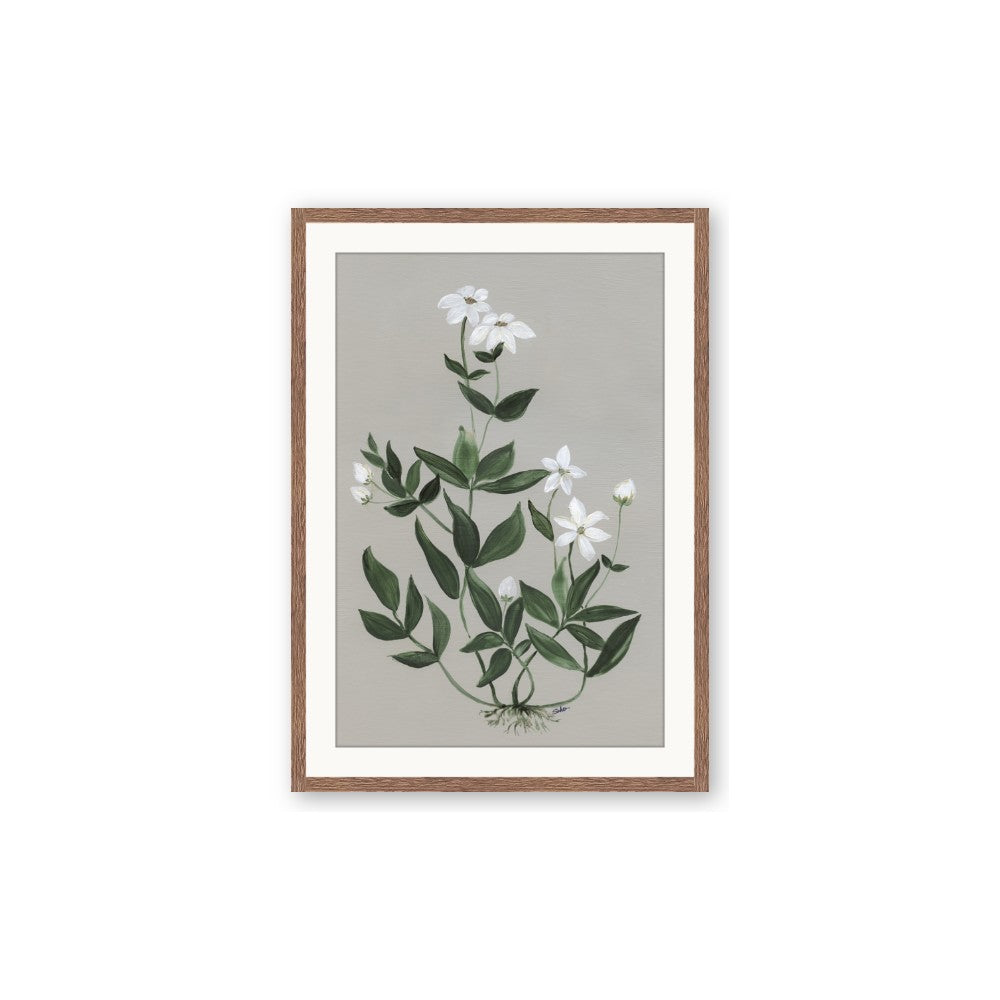 White flower III